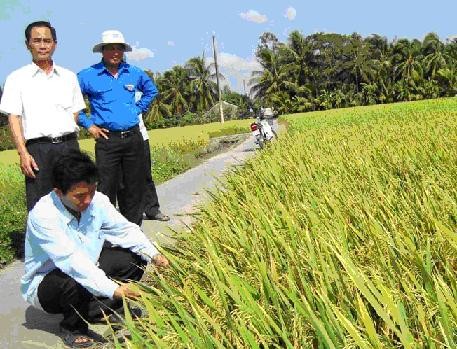 Des évolutions dans les milieux ruraux à Trà Vinh